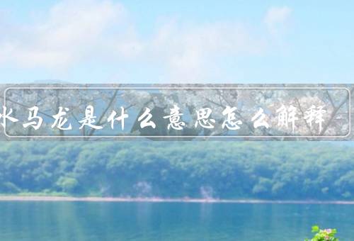 车水马龙是什么意思怎么解释（含义／起源／用法）
