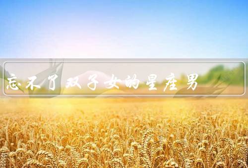 忘不了双子女的星座男（机智灵活／多变的性格／与众不同的魅力）