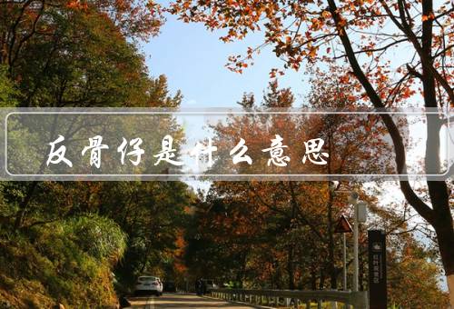 反骨仔是什么意思（反抗权威、追求个性、勇于挑战）