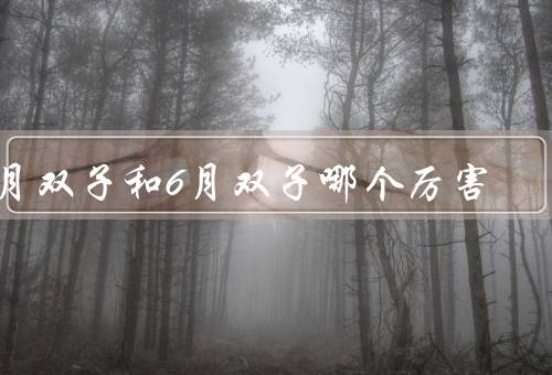 5月双子和6月双子哪个厉害，个性特点／情感表达／适应能力
