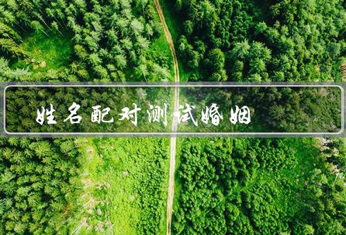 姓名配对测试婚姻（原理／方法／实际效果）