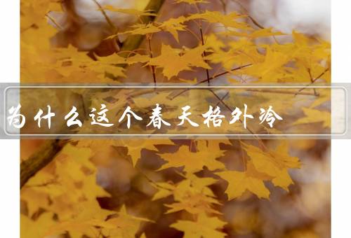 为什么这个春天格外冷（气候变化／天气系统／自然灾害）
