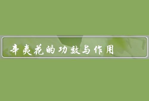 辛夷花的功效与作用，美容功效／药用作用／食用价值