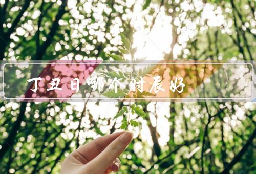 丁丑日哪个时辰好（子时／丑时／寅时）