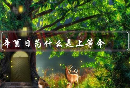 辛酉日为什么是上等命，辛酉日的五行属性／聪明才智／能力
