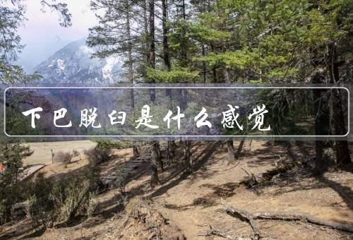 下巴脱臼是什么感觉（脱臼的感觉／生活的困扰／寻求专业）