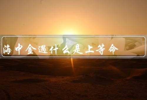 海中金遇什么是上等命（黄金的寻找／海中金遇的能力／上等命的意义）