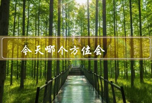 今天哪个方位会赢钱（股票／创业开店／房地产）