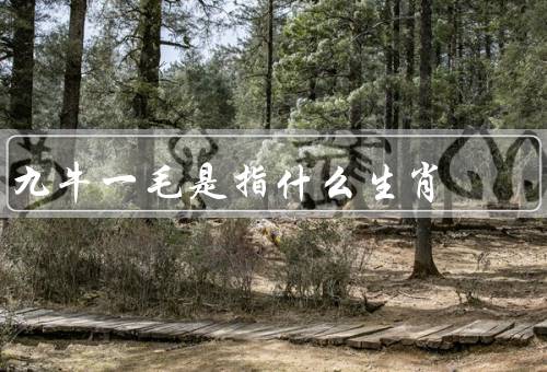 九牛一毛是指什么生肖（九牛一毛、象征意义、特征与代表作）
