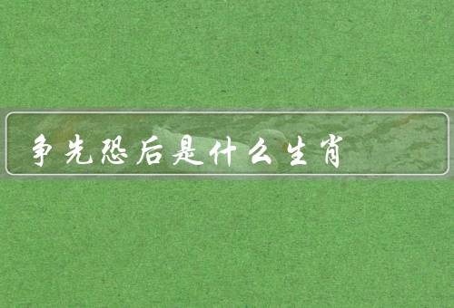 争先恐后是什么生肖（鼠、龙、虎）