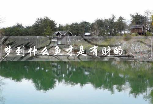 梦到什么鱼才是有财的（吉祥鱼、金鱼、大鱼）