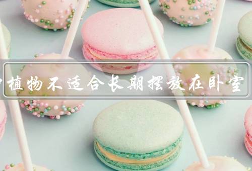 哪种植物不适合长期摆放在卧室，仙人掌、百合、虎尾兰