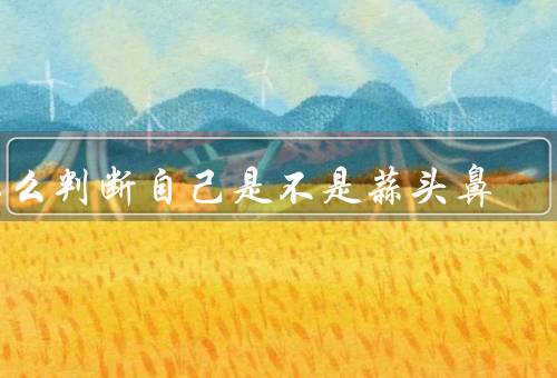 怎么判断自己是不是蒜头鼻（蒜头鼻的定义、外观判断、咨询专业医生）