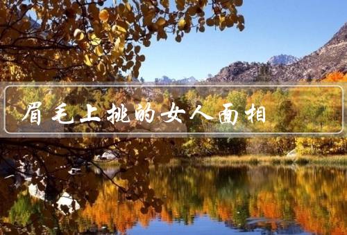 眉毛上挑的女人面相，面相特点、性格特点、爱情观