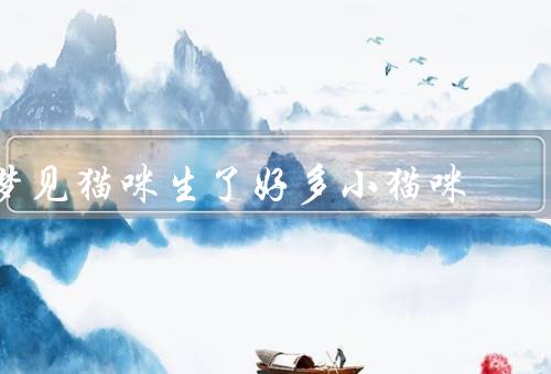 梦见猫咪生了好多小猫咪，到来／降生／成长