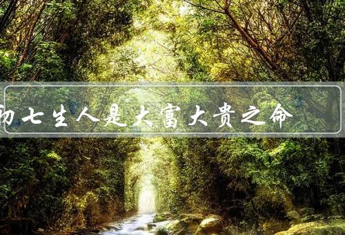 初七生人是大富大贵之命，天资聪慧／事业成功／财富积累