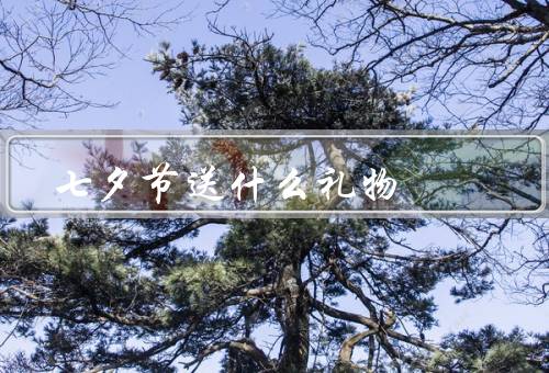七夕节送什么礼物，手工礼物、鲜花、情侣饰品