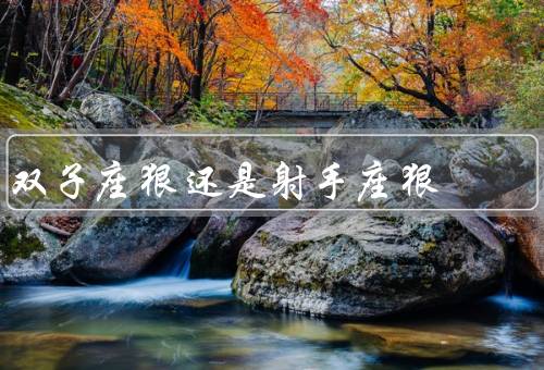 双子座狠还是射手座狠，狠／射手座狠／与射手座的狠对比