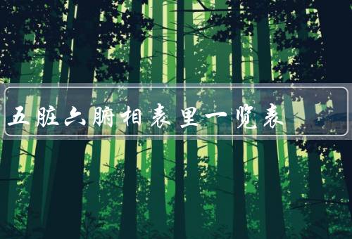 五脏六腑相表里一览表，五脏、六腑、总结
