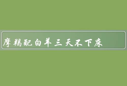摩羯配白羊三天不下床（性格特点／爱情关系／配困境）