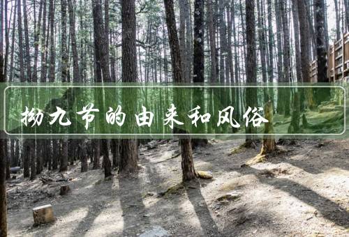 拗九节的由来和风俗（起源、风俗、意义）