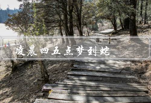 凌晨四五点梦到蛇，象征意义／颜色和形态／解读和建议