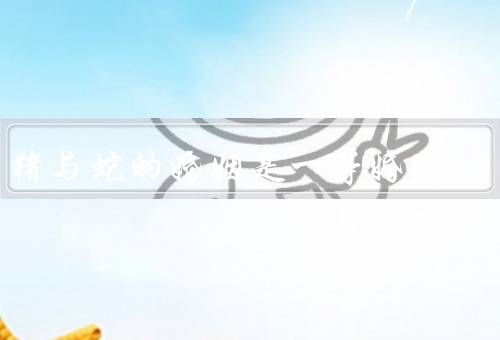 猪与蛇的婚姻是一等婚（相似之处／互补之处／幸福婚姻）