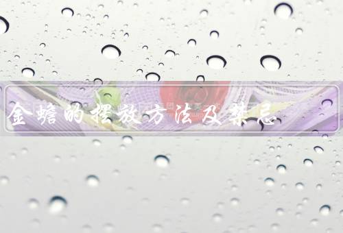 金蟾的摆放方法及禁忌，位置、方向、禁忌