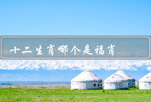 十二生肖哪个是福肖（龙、虎、羊）