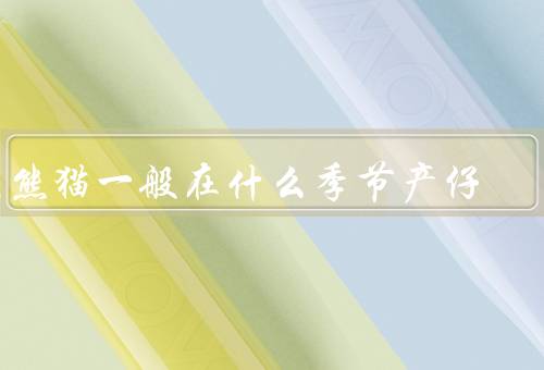 大熊猫一般在什么季节产仔，大熊猫的繁殖特点／春季的繁殖情况