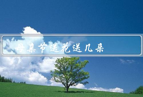 母亲节送花送几朵，花语的力量／寓意的重要性／质量胜于数量
