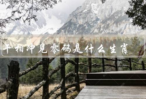 子午相冲见零码是什么生肖（见零码／其他生肖）