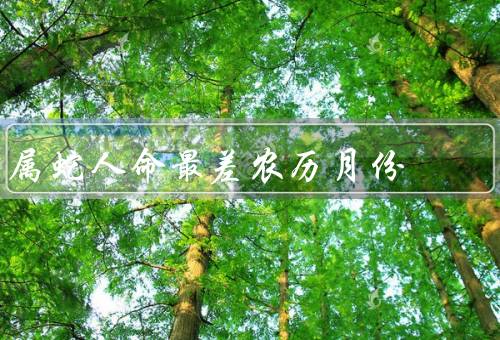 属蛇人命最差农历月份，七月犯太岁／财运不佳／情感困境