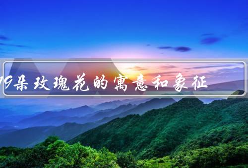 19朵玫瑰花的寓意和象征，爱情的象征／友情的象征／感恩的象征