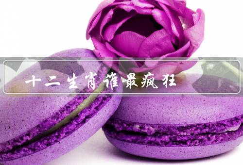 十二生肖谁最疯狂，聪明与机智、冒险精神、疯狂举动