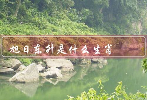 旭日东升是什么生肖，旭日东升生肖／特点／吉祥物