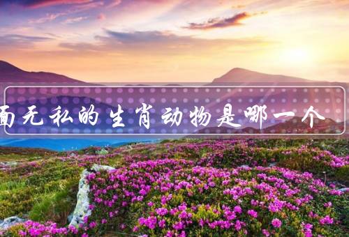 铁面无私的生肖动物是哪一个，正义感、公正判断、无私奉献