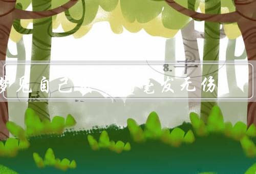 梦见自己出车祸毫发无伤，奇怪的梦境／意义的解读／感悟与行动