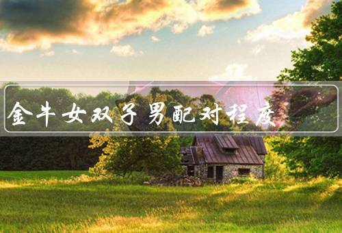 金牛女双子男配对程度，性格特点／沟通方式／共同兴趣