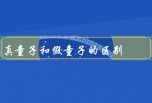 真童子和假童子的区别，外貌／行为／能力