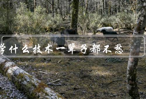 学什么技术一辈子都不愁（人工智能、大数据、云计算）