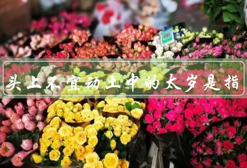 太岁头上不宜动土中的太岁是指，含义、中禁忌、其他禁忌