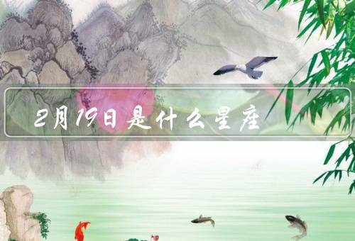 2月19日是什么星座，特点、优点、缺点