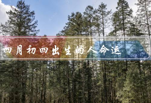 四月初四出生的人命运，聪明才智／人际关系／情绪控制