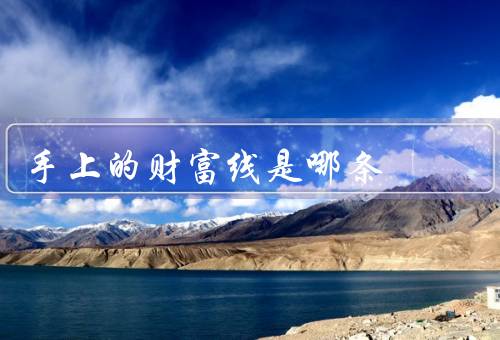 手上的财富线是哪条，线的传说／手相学的局限性／与努力