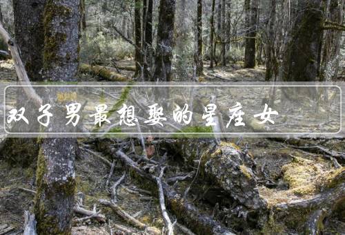 双子男最想娶的星座女，天秤座女／狮子座女／水瓶座女