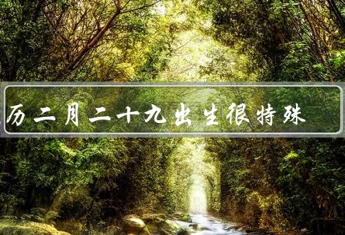 农历二月二十九出生很特殊（命运多变、敏锐洞察、追求独特）
