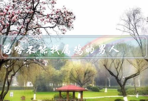 为啥不能找属鸡的男人，爱好自由／容易背叛／情绪不稳定