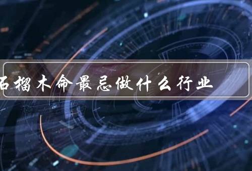 石榴木命最忌做什么行业（医疗行业／金融行业／建筑行业）