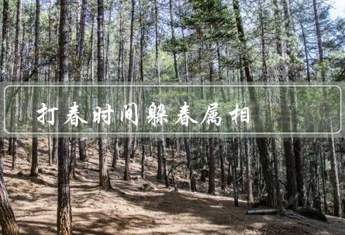 打春时间躲春属相，打春的习俗、属相的意义、方式